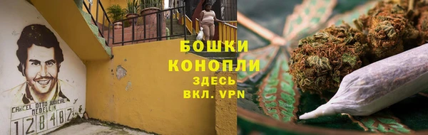 стафф Лабытнанги