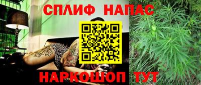 стафф Заводоуковск
