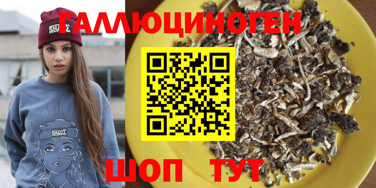 Галлюциногенные грибы MAGIC MUSHROOMS  Галлюциногенные грибы Psilocybine cubensis  Армавир  цены наркотик  Вход с VPN 