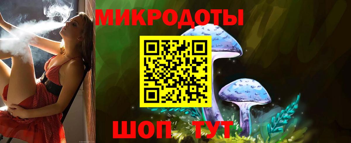 Псилоцибиновые грибы Psilocybe  Армавир  Галлюциногенные грибы мухоморы 